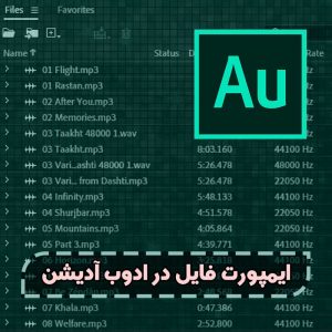 ایمپورت در ادوب آدیشن